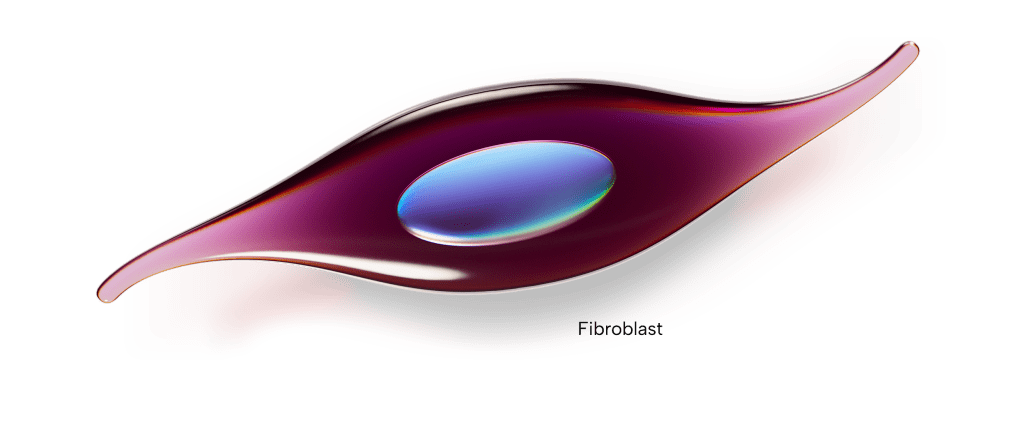 Fibroblast Fibroblast Cell With an Elongated, Spindle-Shaped Body and a Blue-Green Oval Nucleus in the Center