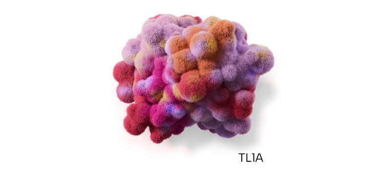 Molecular Illustration of TL1A Protein, Shown as a Clustered Structure in Shades of Purple, Pink, Red, and Orange